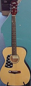 Aria Acoustic Small Body Guitar