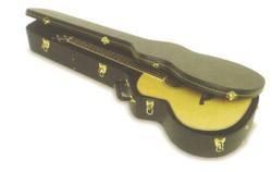 Acoustic Bass Case