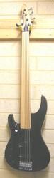 Aria 5 String Fretless Bass