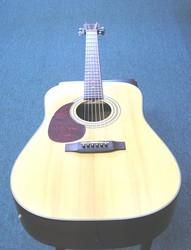 Cort Acoustic Electric Guitar