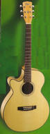 Cort Small Body Acoustic Electric Guitar