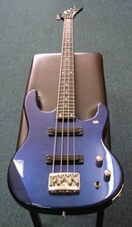 Carvin Bass