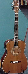 CORT EARTH 200 GC