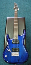 Casino Custom Series Electric Guitar