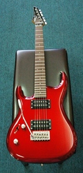 Casino Custom Series Electric Guitar