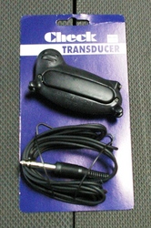 Acoustic Pickup