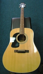 Washburn D10S