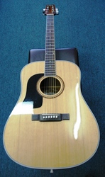 Washburn D10S