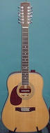 DAION 12 STRING GUITAR