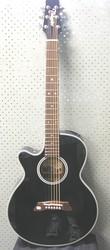 Takamine Acoustic Electric Guitar