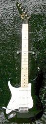 Eagle electric guitar