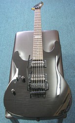 ESP LM 100