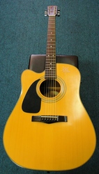 Fender Acoustic Electric Guitar