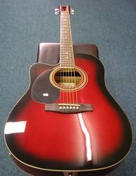 Johnson Acoustic Electric