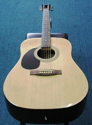 Johnson Acoustic Guitar
