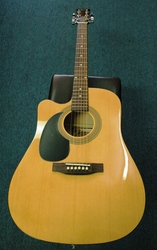 Johnson Acoustic Electric Guitar
