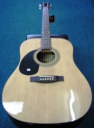 Johnson Acoustic Guitar