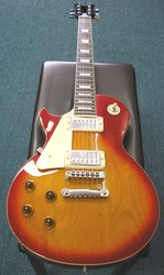 J and D LP Style Electric Guitar