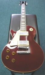 J and D LP Style Electric Guitar