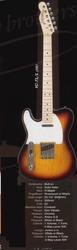 J and D Tele style guitar