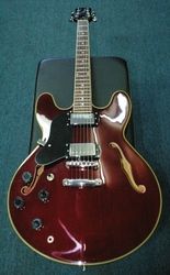 Jay Turser Electric Guitar