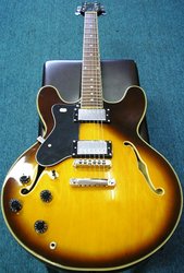 Jay Turser Electric Guitar