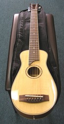 Johnson Traveller Guitar