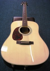 Kayne Acoustic Guitar