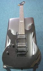 ESP LM 100
