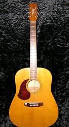 Maton Acoustic Guitar