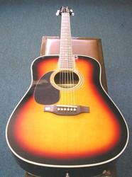 Magnum Acoustic Guitar