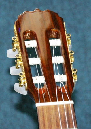 MCCT66