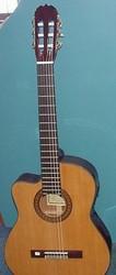 Martinez Classical Electric