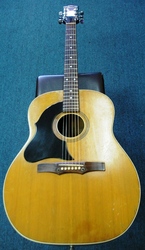 Maton CW100