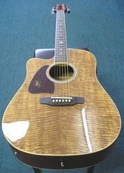 Martinez Acoustic Electric Guitar