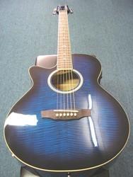 Martinez Acoustic Electric Guitar