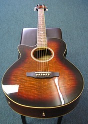Martinez Acoustic Electric Guitar