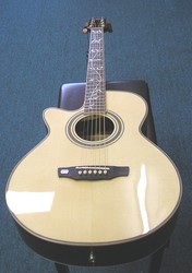 Martinez Acoustic Electric Guitar