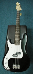 Monterey Bass Guitar
