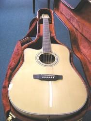 Martinez Acoustic Electric Guitar
