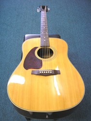 Ibanez Acoustic Guitar