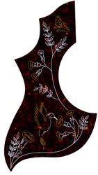 Acoustic Pick Guard