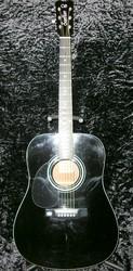 SaeHan Acoustic Guitar