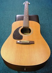 Seagull M6 Acoustic Guitar