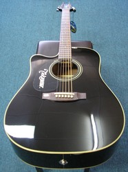 Takamine Acoustic Electric Guitar