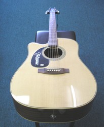 Takamine Acoustic Electric Guitar