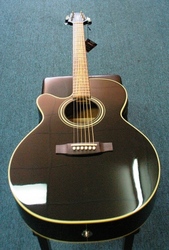 Takamine Acoustic Electric Guitar