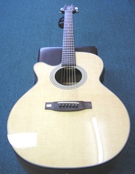 Takamine Acoustic Electric Guitar