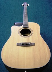 Takamine Acoustic Electric Guitar