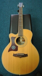 Tanglewood TW145 ASC
